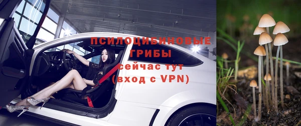 мет Белокуриха