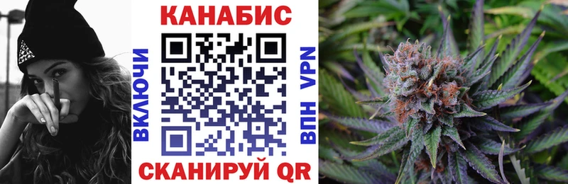 Канабис план  Купить где  Верхний Тагил 